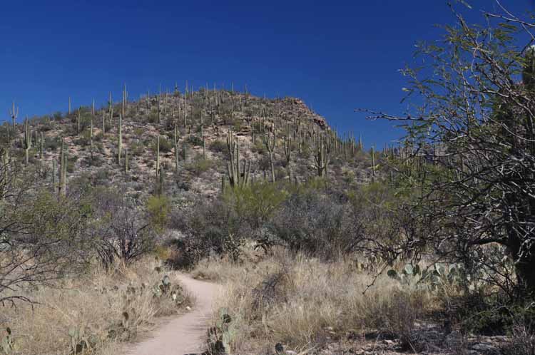 trail